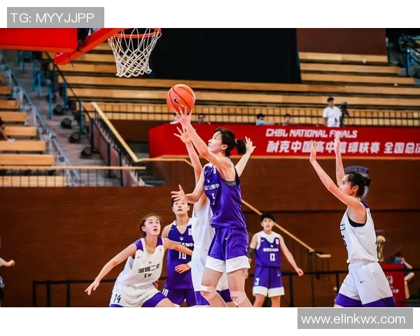 西安篮球队与深圳篮球队的较量分析与战术总结